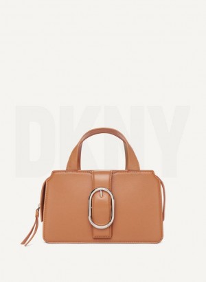 Brown DKNY Buckle Bags Crossbody Bags | USA-D1846