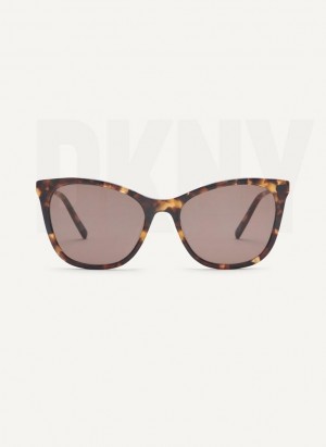 Brown DKNY City Native Cat Eye Women's Sunglasses | USA-D0606