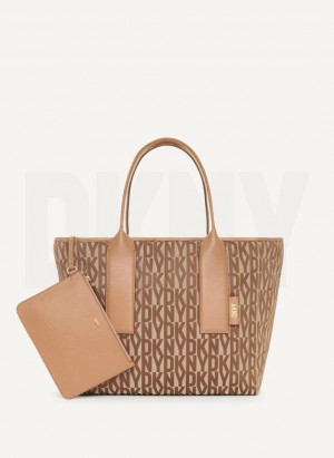 Brown DKNY Grayson Large Bags Tote Bags | USA-D1748