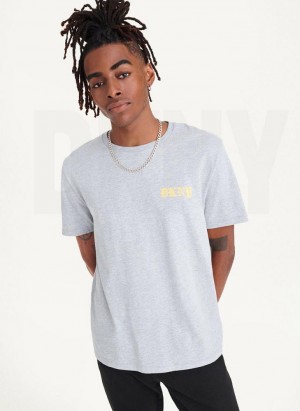 Light Grey DKNY Don't Knock New York Men's T Shirts | USA-D1359