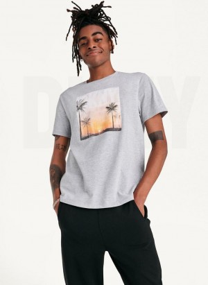 Light Grey DKNY Susnet Logo Men's T Shirts | USA-D1023