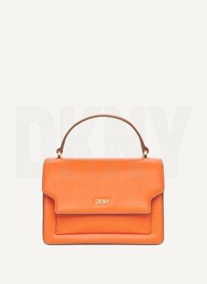Orange DKNY Millie Bags Crossbody Bags | USA-D1527