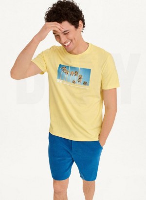 Yellow DKNY Split Palm Trees Men's T Shirts | USA-D1347