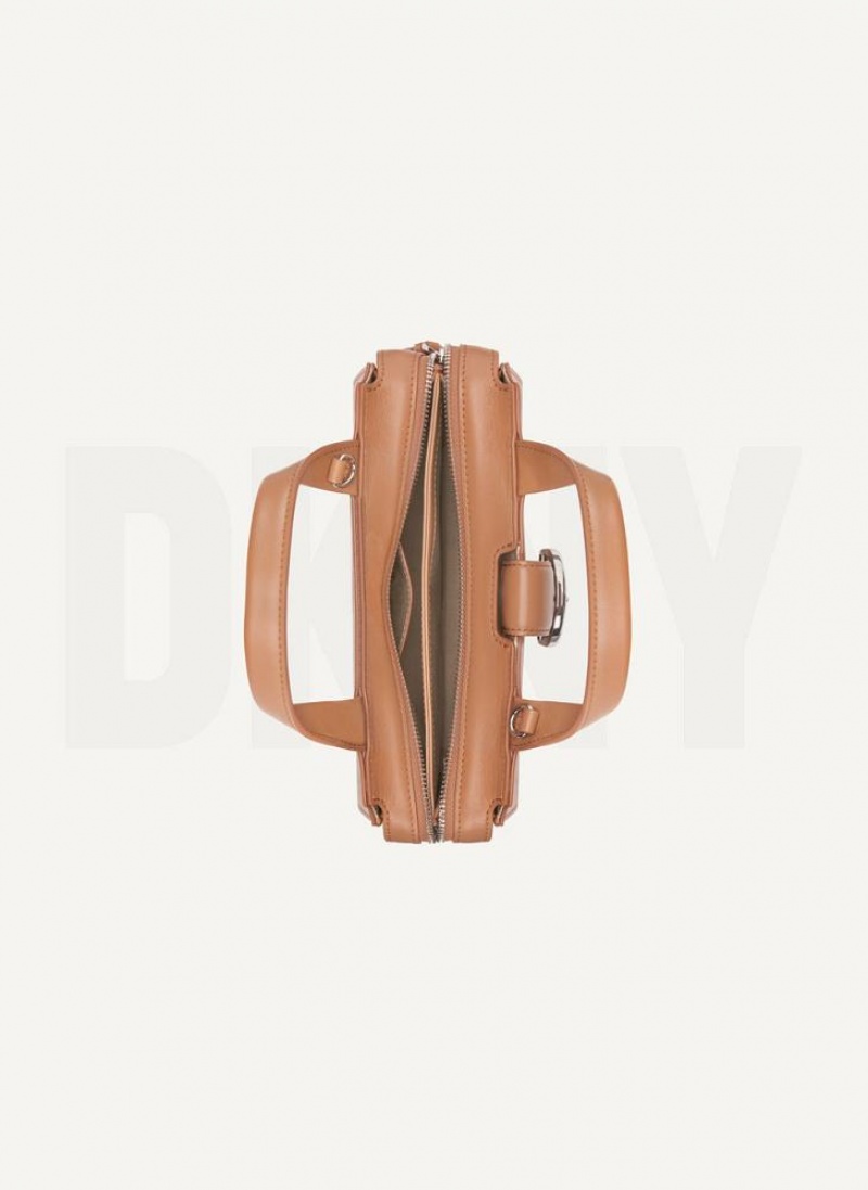 Brown DKNY Buckle Bags Crossbody Bags | USA-D1846