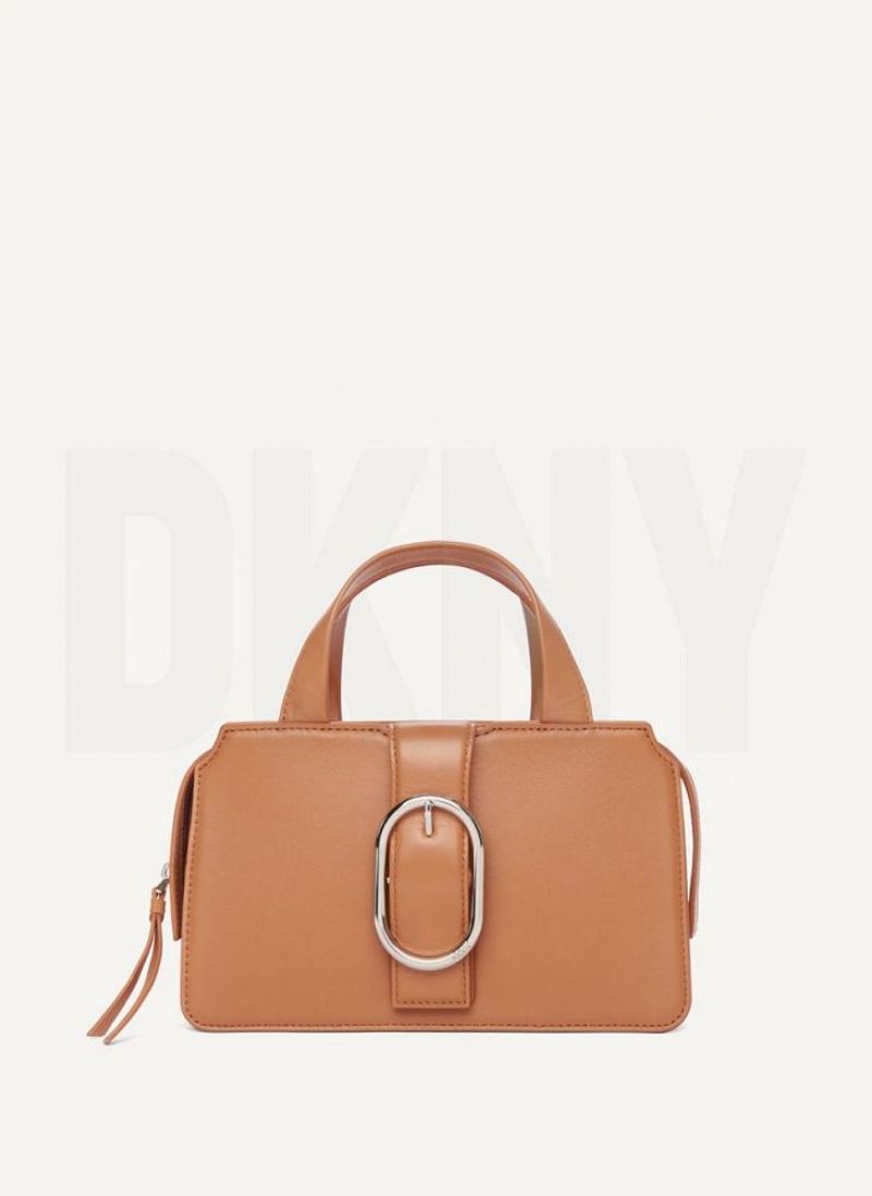 Brown DKNY Buckle Bags Crossbody Bags | USA-D1846
