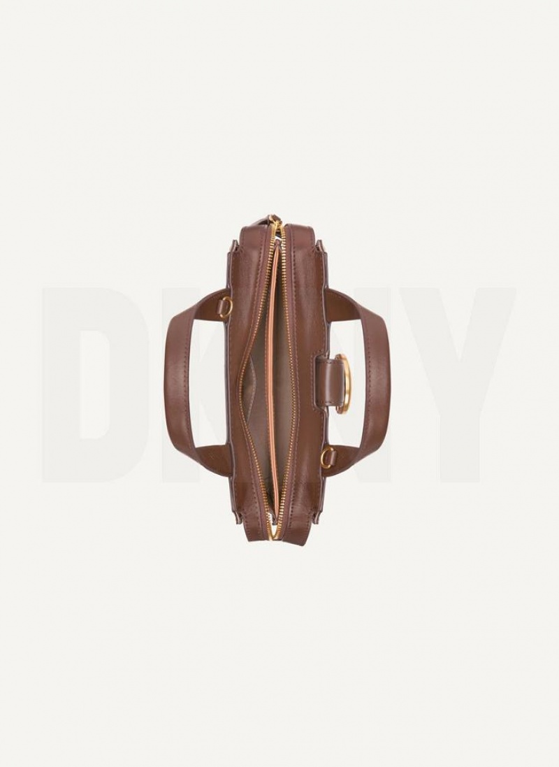 Brown DKNY Logo Buckle Bags Crossbody Bags | USA-D1509
