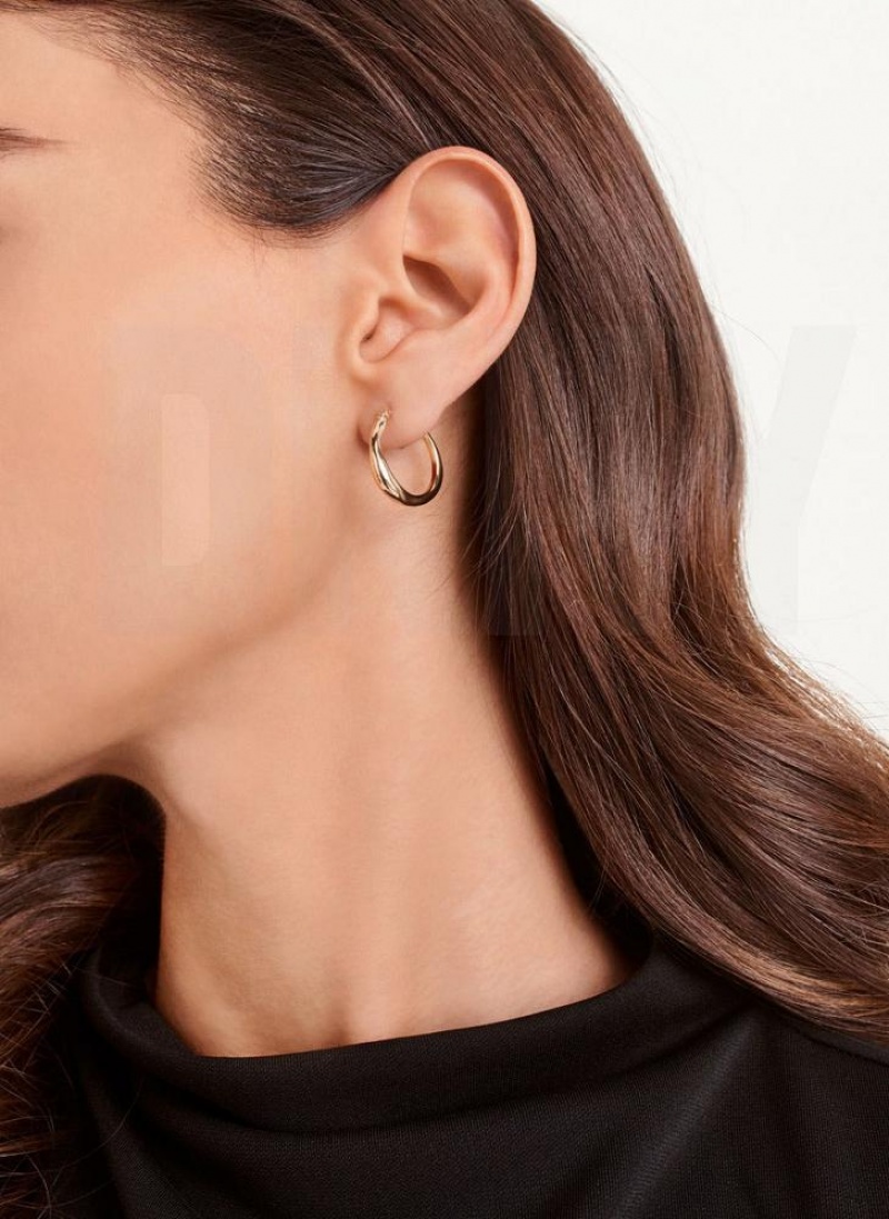 Gold DKNY Organic Hoop Women's Earrings | USA-D1951