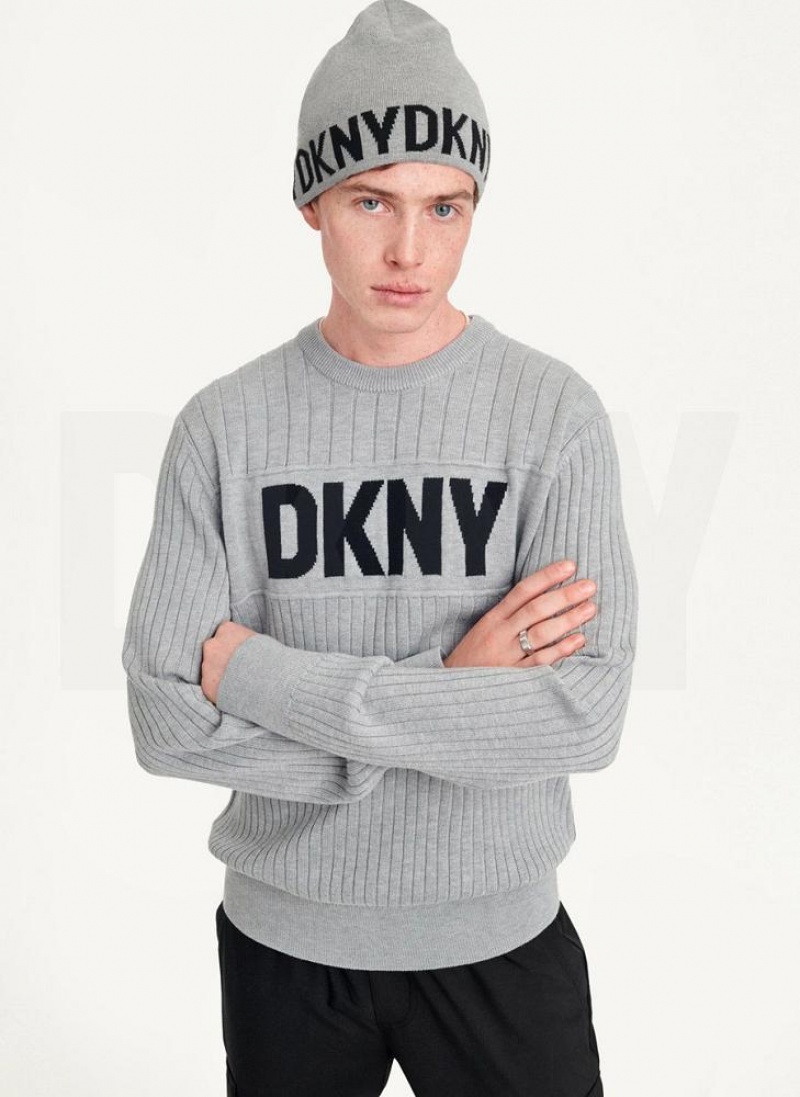 Grey DKNY Brim Logo Men's Beanie | USA-D0538