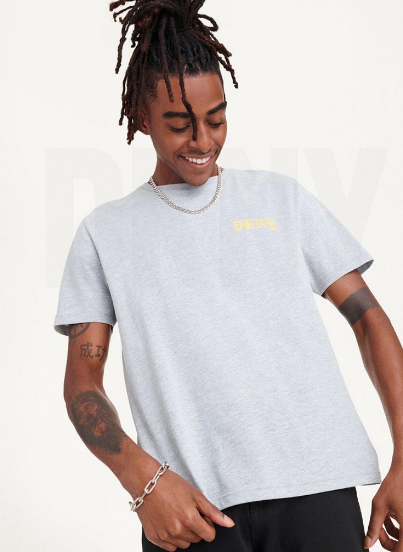 Light Grey DKNY Don't Knock New York Men's T Shirts | USA-D1359