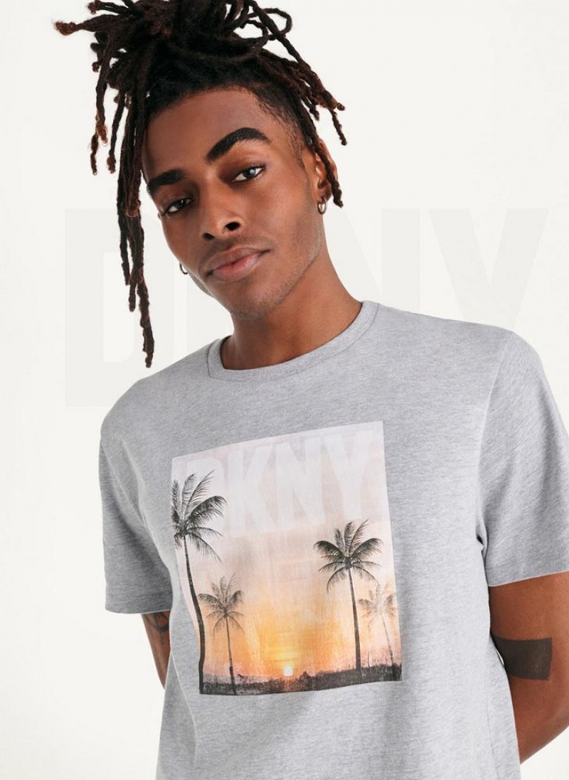 Light Grey DKNY Susnet Logo Men's T Shirts | USA-D1023